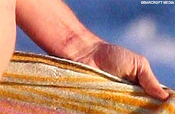 Owen Wilson để lộ vết khứa trên cổ tay - 1