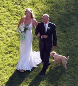 Lại một cặp sao bí mật đám cưới - 6