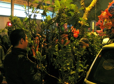 Phong phú dịch vụ đầu xuân - 1