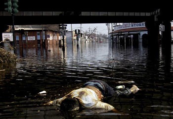 Những bức ảnh xuất sắc năm 2005 - 2