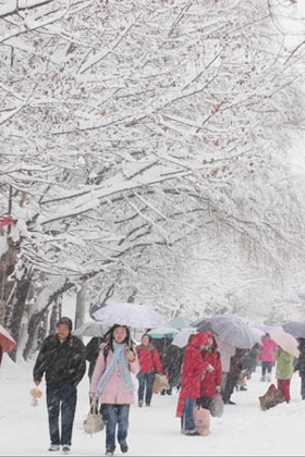 Chùm ảnh: Tuyết tấn công Trung Quốc - 2