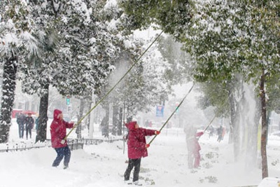 Chùm ảnh: Tuyết tấn công Trung Quốc - 4