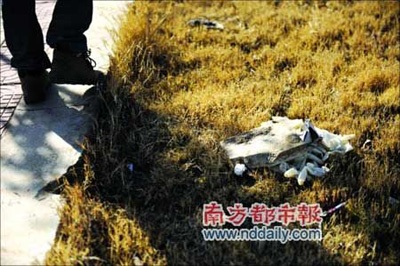 Đằng sau vụ nữ sinh Trung Quốc quay phim người tình bị giết - 2 Đằng sau vụ nữ sinh Trung Quốc quay phim người tình bị giết - 2