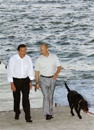Chùm ảnh: Chiêm ngưỡng cún cưng của Putin - 10