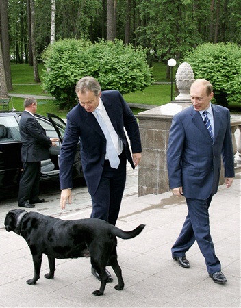 Chùm ảnh: Chiêm ngưỡng cún cưng của Putin - 16