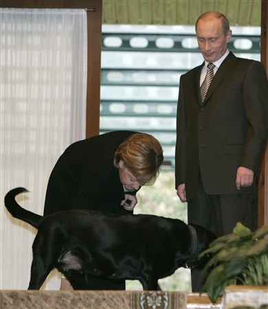 Chùm ảnh: Chiêm ngưỡng cún cưng của Putin - 6