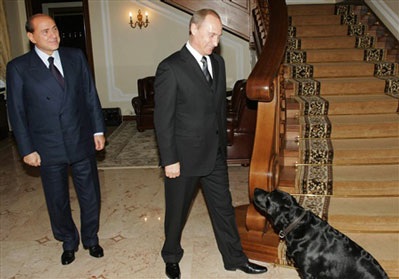 Chùm ảnh: Chiêm ngưỡng cún cưng của Putin - 9