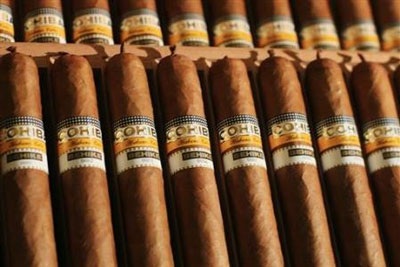 Chùm ảnh: Sống trong thế giới nhung lụa - 10