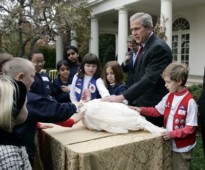 Xem người Mỹ đón lễ Tạ ơn - 2