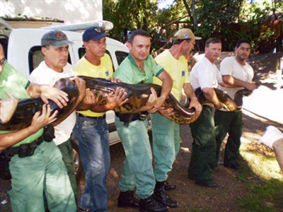Chùm ảnh: Những khoảnh khắc lạ  - 10