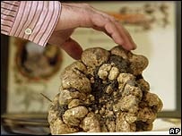 Một người đàn ông Ý bắn chết vợ tại bệnh viện - 2 Một người đàn ông Ý bắn chết vợ tại bệnh viện - 2