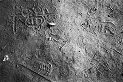 Những bức ảnh đoạt giải Ảnh báo chí thế giới 2007 (phần 1) - 5