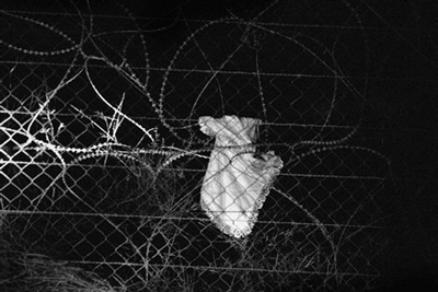 Những bức ảnh đoạt giải Ảnh báo chí thế giới 2007 (phần 1) - 7