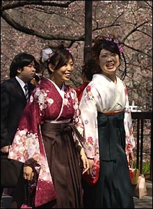 Chùm ảnh: Mùa hoa anh đào nở ở Nhật - 2