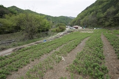 Tiết lộ vụ tàn sát tập thể kinh hoàng ở Hàn Quốc năm 1950 - 13 Tiết lộ vụ tàn sát tập thể kinh hoàng ở Hàn Quốc năm 1950 - 13