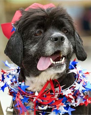 Chùm ảnh: Nước Mỹ tưng bừng kỉ niệm Quốc khánh lần thứ 232 - 10