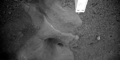 Phoenix lấy được mẫu đất đầu tiên trên sao Hỏa - 1