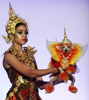 Chùm ảnh: Thời trang cho vật cưng - 1