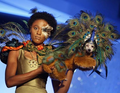 Chùm ảnh: Thời trang cho vật cưng - 2