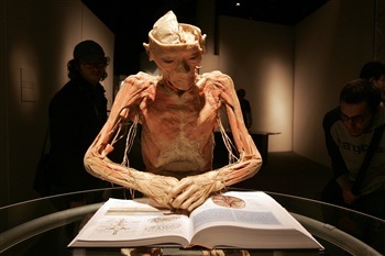 Ảnh đẹp tuần qua: Những khoảnh khắc lạ thường - 5 Ảnh đẹp tuần qua: Những khoảnh khắc lạ thường - 5