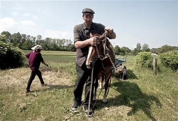 Danh hiệu người cao nhất thế giới có chủ mới - 2