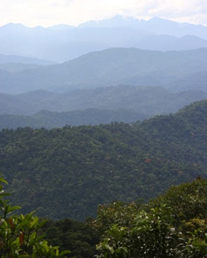 Chùm ảnh 11 loài sinh vật mới ở Việt Nam - 14