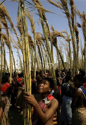 Hàng ngàn trinh nữ ngực trần khiêu vũ vì Vua Swaziland - 3 Hàng ngàn trinh nữ ngực trần khiêu vũ vì Vua Swaziland - 3