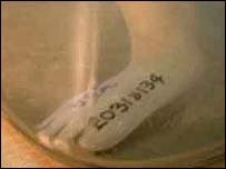 Phát hiện xác người ngoài hành tinh tại Anh? - 2