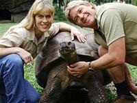 Nhà tự nhiên học nổi tiếng Australia qua đời - 2