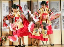 Chùm ảnh người Đông Á tưng bừng đón Tết - 9