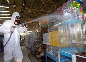 Những sự kiện thế giới nổi bật năm qua - 8 Những sự kiện thế giới nổi bật năm qua - 8