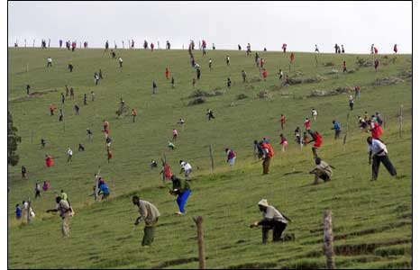 Những bức ảnh đoạt giải Ảnh báo chí thế giới 2008 - 6