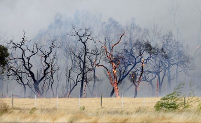 Cảnh tan hoang sau hỏa hoạn ở Australia - 10