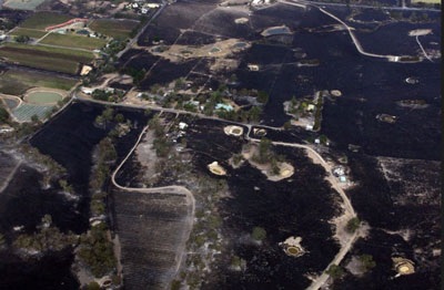 Cảnh tan hoang sau hỏa hoạn ở Australia - 13