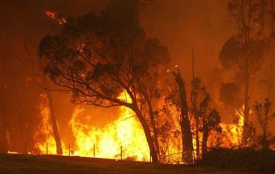 Chùm ảnh: Bão lửa thiêu chết 108 người ở Australia - 4 Chùm ảnh: Bão lửa thiêu chết 108 người ở Australia - 4