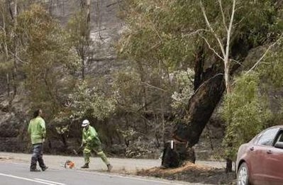 Chùm ảnh: Bão lửa thiêu chết 108 người ở Australia - 9 Chùm ảnh: Bão lửa thiêu chết 108 người ở Australia - 9