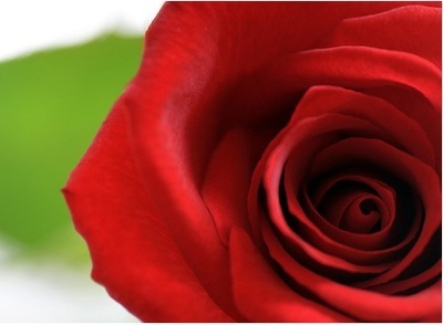 Valentine: Ý tưởng quà tặng cho bạn gái - 6 Valentine: Ý tưởng quà tặng cho bạn gái - 6