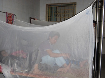 “Điên đầu” vì dịch muỗi! - 1