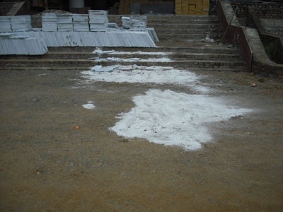 Một sinh viên nhảy từ tầng 17 xuống đất - 1