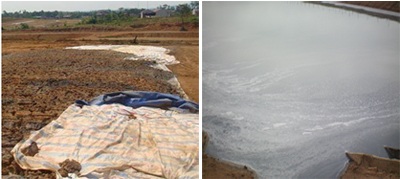 Đình chỉ 2 nhà máy chế biến tinh bột sắn tại Hà Tĩnh, Nghệ An - 1