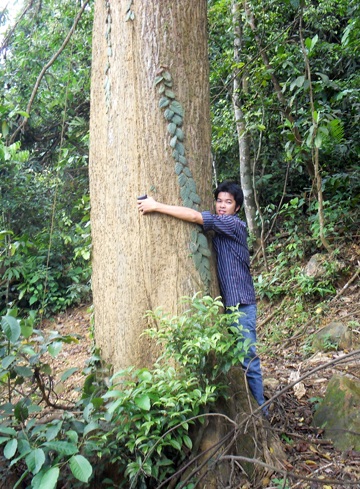 Đột nhập “công trường” phá rừng nguyên sinh (video) - 19