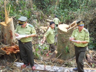 Đoàn kiểm tra đặc biệt vào điểm “nóng” phá rừng (video) - 9