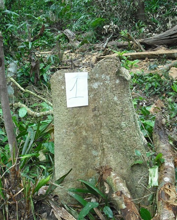 Đoàn kiểm tra đặc biệt vào điểm “nóng” phá rừng (video) - 2