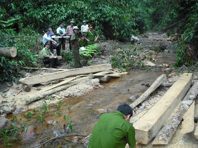 Đoàn kiểm tra đặc biệt vào điểm “nóng” phá rừng (video) - 10