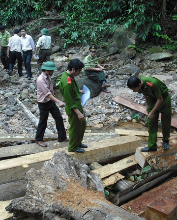 Đoàn kiểm tra đặc biệt vào điểm “nóng” phá rừng (video) - 11