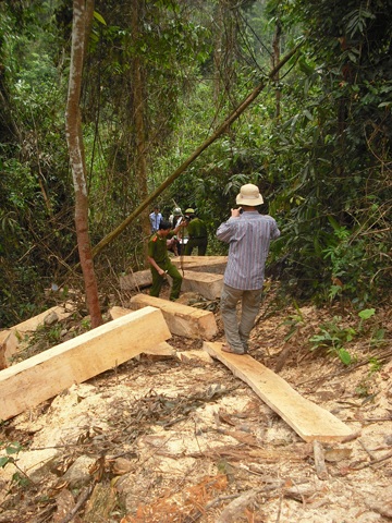Đoàn kiểm tra đặc biệt vào điểm “nóng” phá rừng (video) - 12