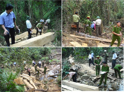 Đoàn kiểm tra đặc biệt vào điểm “nóng” phá rừng (video) - 7