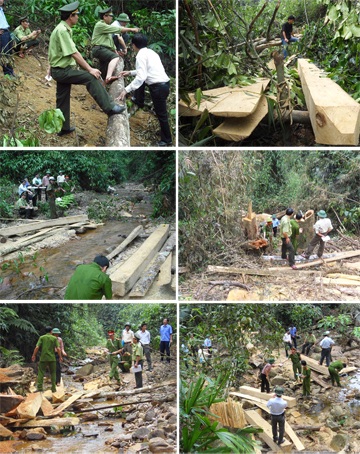 Đoàn kiểm tra đặc biệt vào điểm “nóng” phá rừng (video) - 3