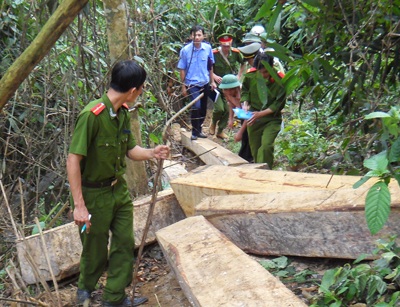 Đoàn kiểm tra đặc biệt vào điểm “nóng” phá rừng (video) - 5