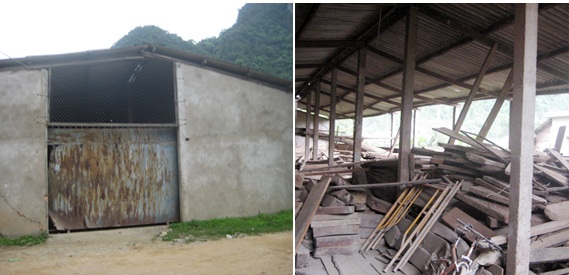 Đường về xuôi ào ạt của gỗ rừng nguyên sinh - 2